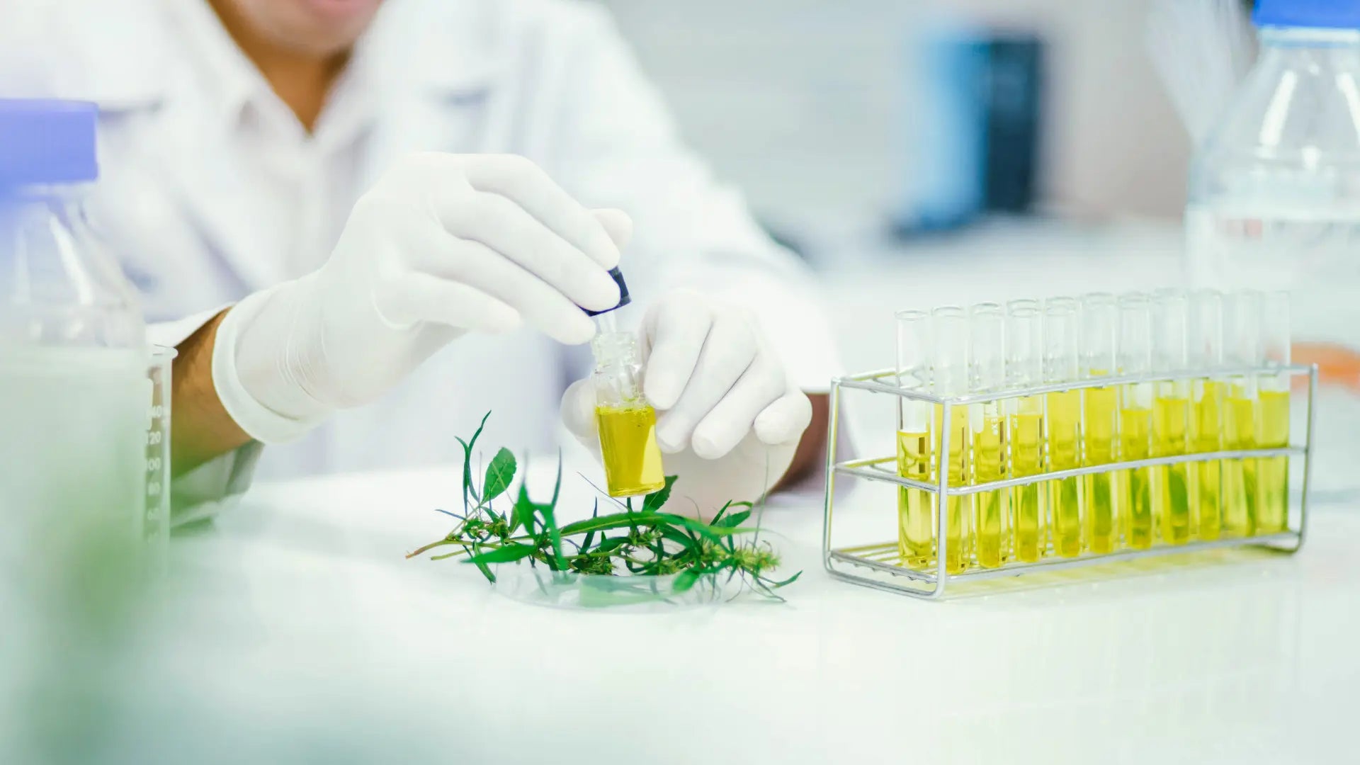 Essential Oils 101: A Complete Guide for Skincare, Cosmetic, Personal Care Brands